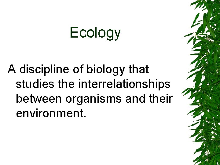 Ecology A discipline of biology that studies the interrelationships between organisms and their environment.
