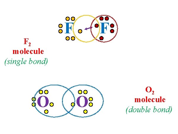 F 2 molecule (single bond) O F F O O 2 molecule (double bond)