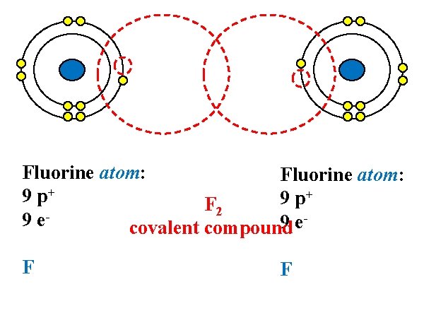 Fluorine atom: + 9 p F 2 9 e 9 e covalent compound F