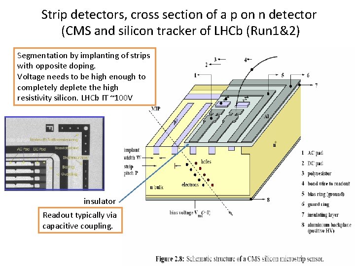 Strip detectors, cross section of a p on n detector (CMS and silicon tracker