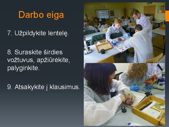 Darbo eiga 7. Užpildykite lentelę. 8. Suraskite širdies vožtuvus, apžiūrėkite, palyginkite. 9. Atsakykite į