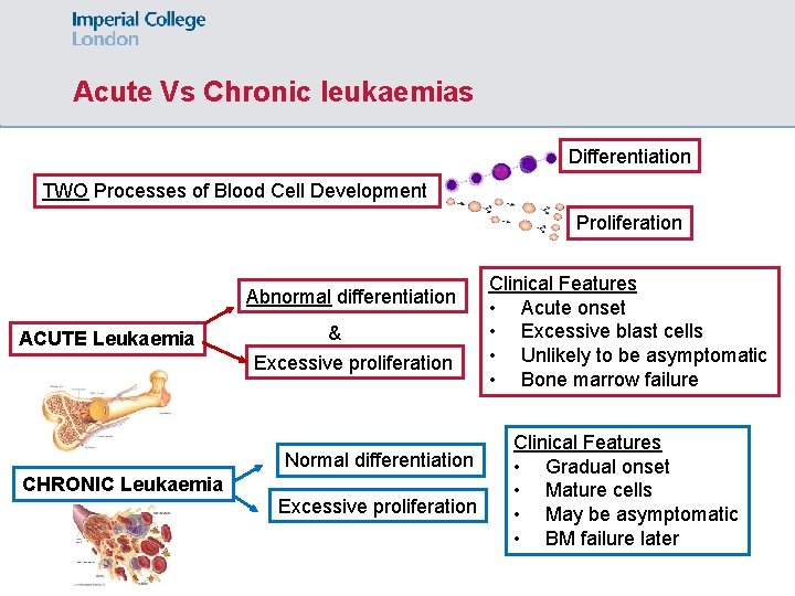 Acute Vs Chronic leukaemias Differentiation TWO Processes of Blood Cell Development Proliferation Abnormal differentiation