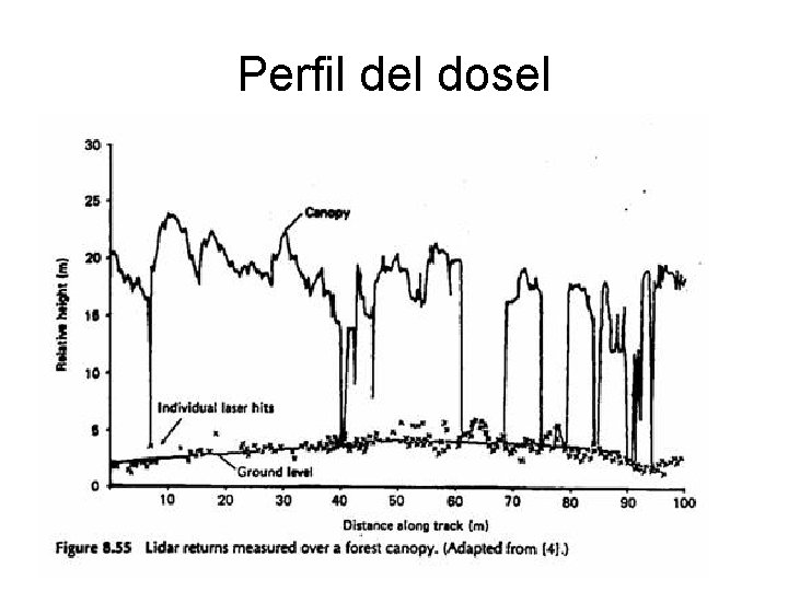 Perfil del dosel 