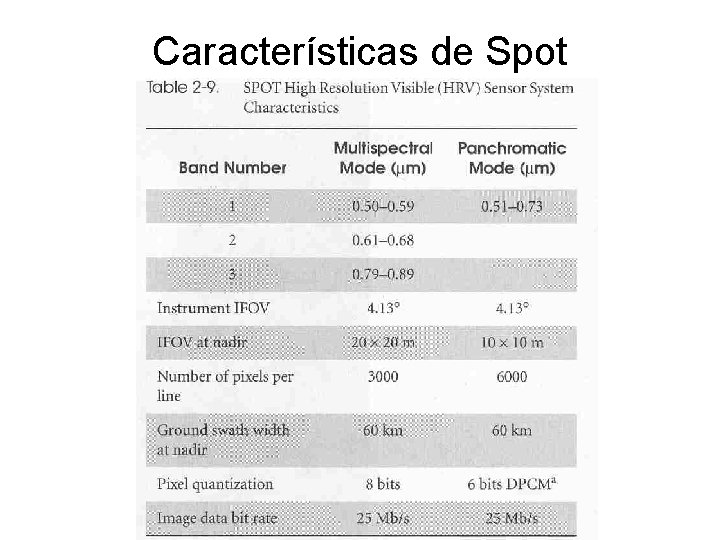 Características de Spot 