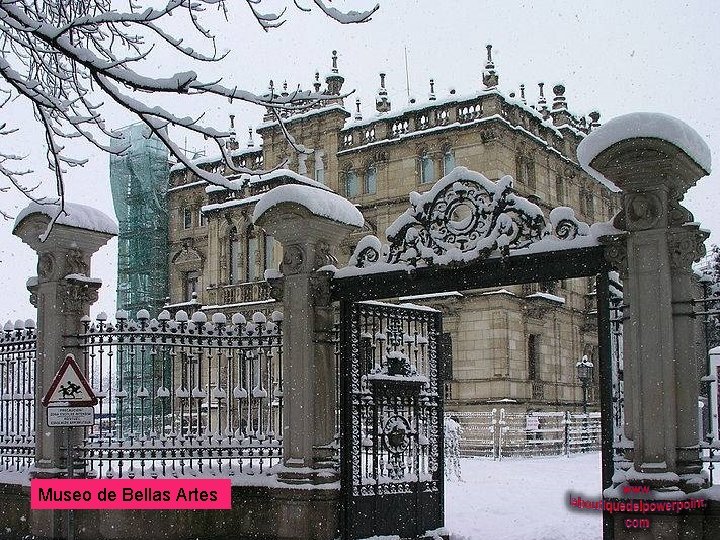 Museo de Bellas Artes 
