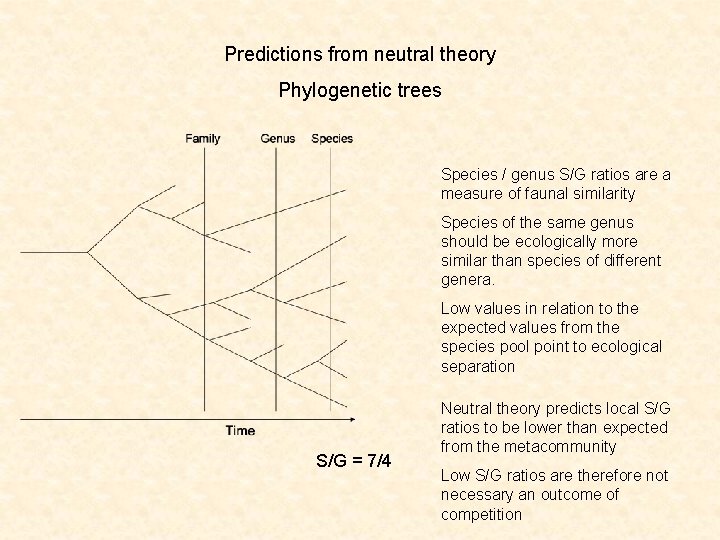 Predictions from neutral theory Phylogenetic trees Species / genus S/G ratios are a measure