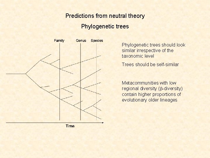 Predictions from neutral theory Phylogenetic trees should look similar irrespective of the taxonomic level