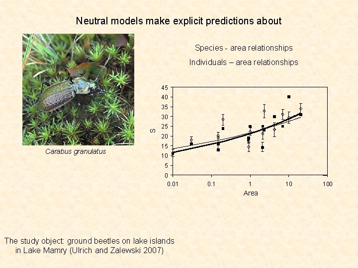 Neutral models make explicit predictions about Species - area relationships Individuals – area relationships
