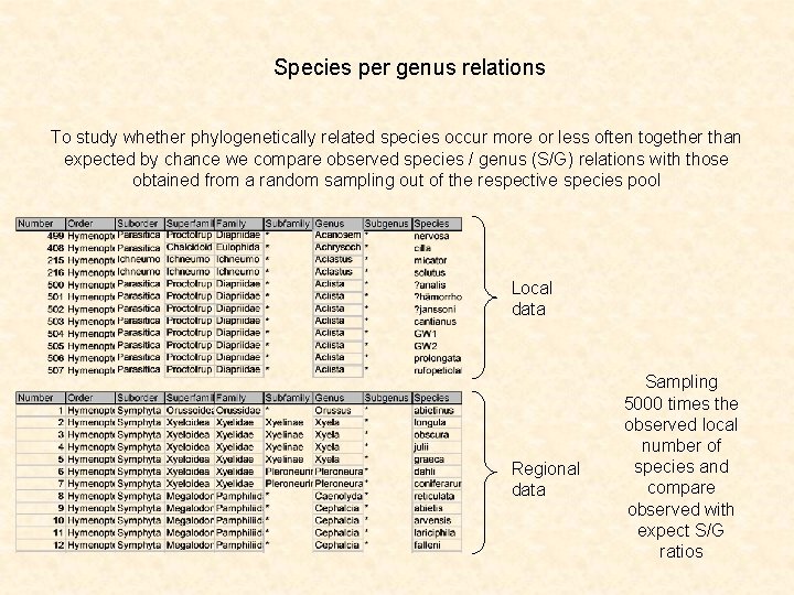 Species per genus relations To study whether phylogenetically related species occur more or less