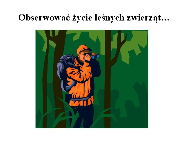 Obserwować życie leśnych zwierząt… 