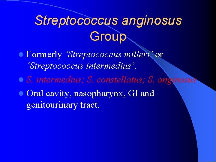 Streptococcus anginosus Group l Formerly ‘Streptococcus milleri’ or ‘Streptococcus intermedius’. l S. intermedius; S.