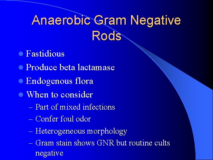 Anaerobic Gram Negative Rods l Fastidious l Produce beta lactamase l Endogenous flora l