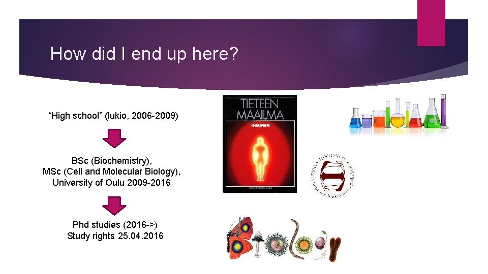 How did I end up here? “High school” (lukio, 2006 -2009) BSc (Biochemistry), MSc