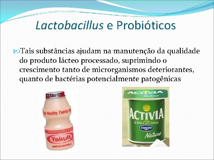Lactobacillus e Probióticos Tais substâncias ajudam na manutenção da qualidade do produto lácteo processado,