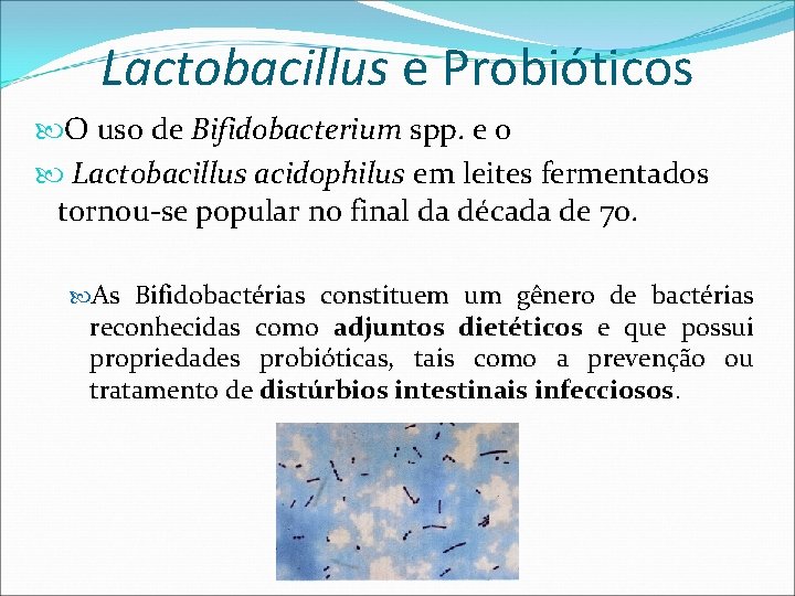 Lactobacillus e Probióticos O uso de Bifidobacterium spp. e o Lactobacillus acidophilus em leites