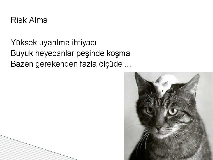 Risk Alma Yüksek uyarılma ihtiyacı Büyük heyecanlar peşinde koşma Bazen gerekenden fazla ölçüde. .
