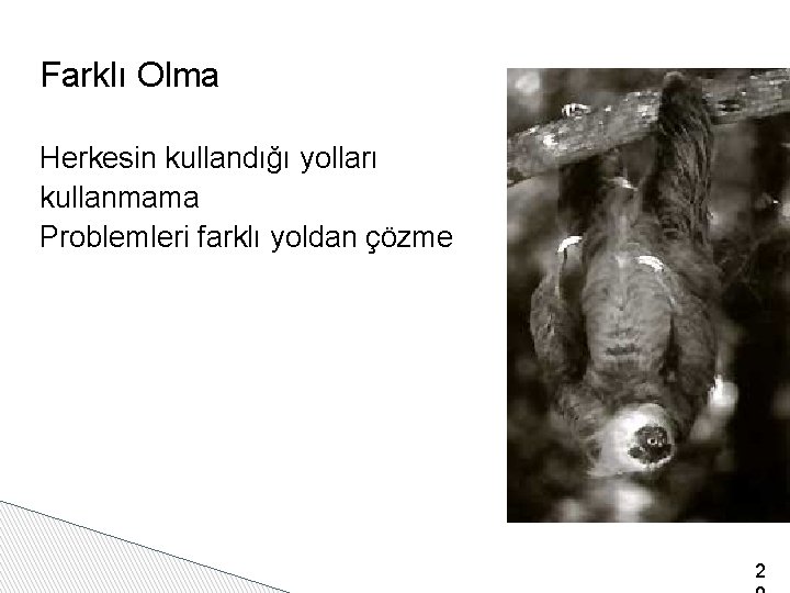 Farklı Olma Herkesin kullandığı yolları kullanmama Problemleri farklı yoldan çözme 2 