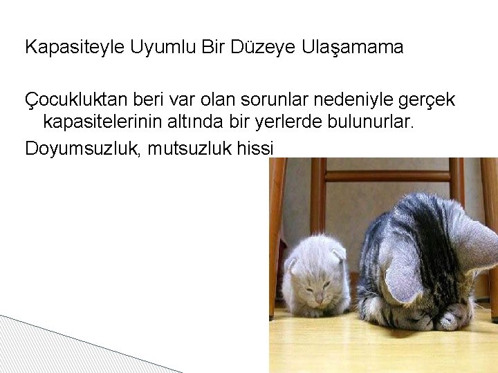 Kapasiteyle Uyumlu Bir Düzeye Ulaşamama Çocukluktan beri var olan sorunlar nedeniyle gerçek kapasitelerinin altında