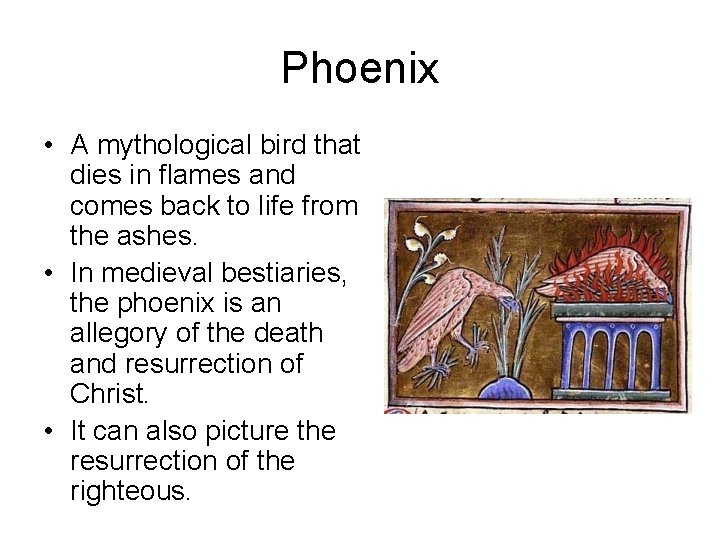 Phoenix • A mythological bird that dies in flames and comes back to life