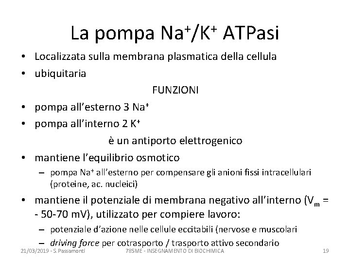 La pompa Na+/K+ ATPasi • Localizzata sulla membrana plasmatica della cellula • ubiquitaria FUNZIONI