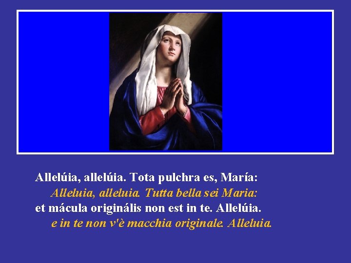 Allelúia, allelúia. Tota pulchra es, María: Alleluia, alleluia. Tutta bella sei Maria: et mácula Allelúia, allelúia. Tota pulchra es, María: Alleluia, alleluia. Tutta bella sei Maria: et mácula