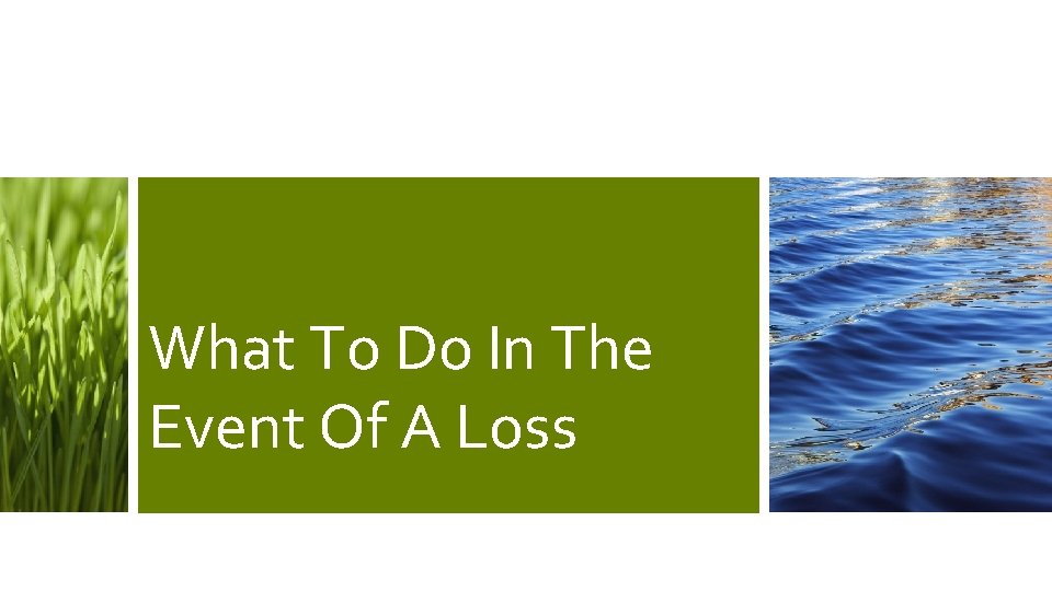 What To Do In The Event Of A Loss 