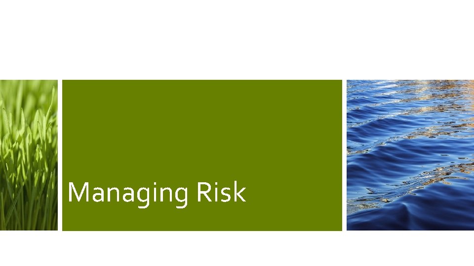 Managing Risk 