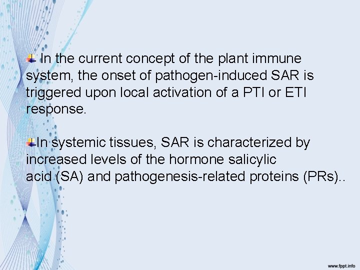 In the current concept of the plant immune system, the onset of pathogen-induced SAR