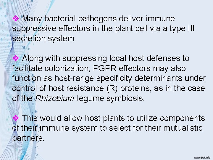 v Many bacterial pathogens deliver immune suppressive effectors in the plant cell via a