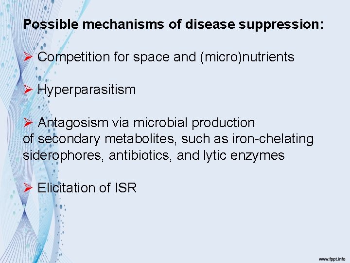 Possible mechanisms of disease suppression: Ø Competition for space and (micro)nutrients Ø Hyperparasitism Ø