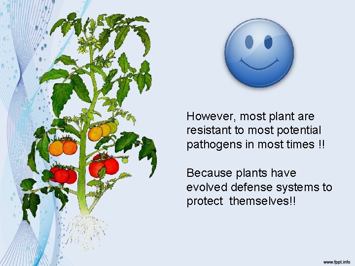 However, most plant are resistant to most potential pathogens in most times !! Because