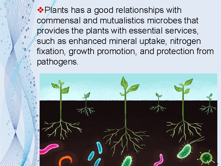 v. Plants has a good relationships with commensal and mutualistics microbes that provides the