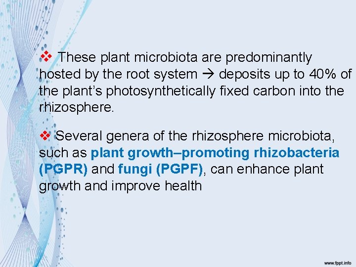 v These plant microbiota are predominantly hosted by the root system deposits up to