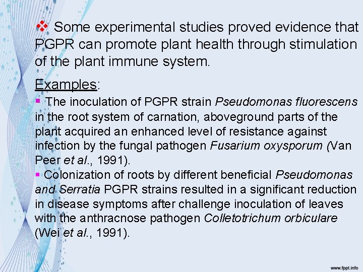 v Some experimental studies proved evidence that PGPR can promote plant health through stimulation