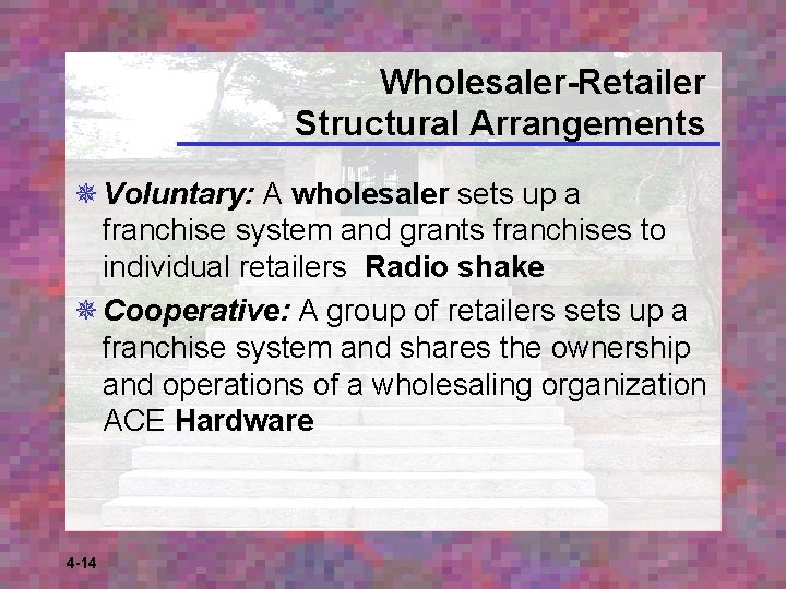 Wholesaler-Retailer Structural Arrangements ¯ Voluntary: A wholesaler sets up a franchise system and grants