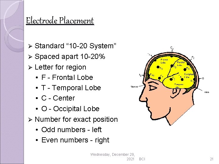 Electrode Placement Standard “ 10 -20 System” Ø Spaced apart 10 -20% Ø Letter