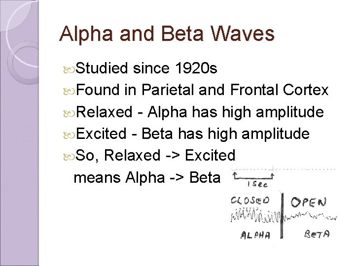 Alpha and Beta Waves Studied since 1920 s Found in Parietal and Frontal Cortex