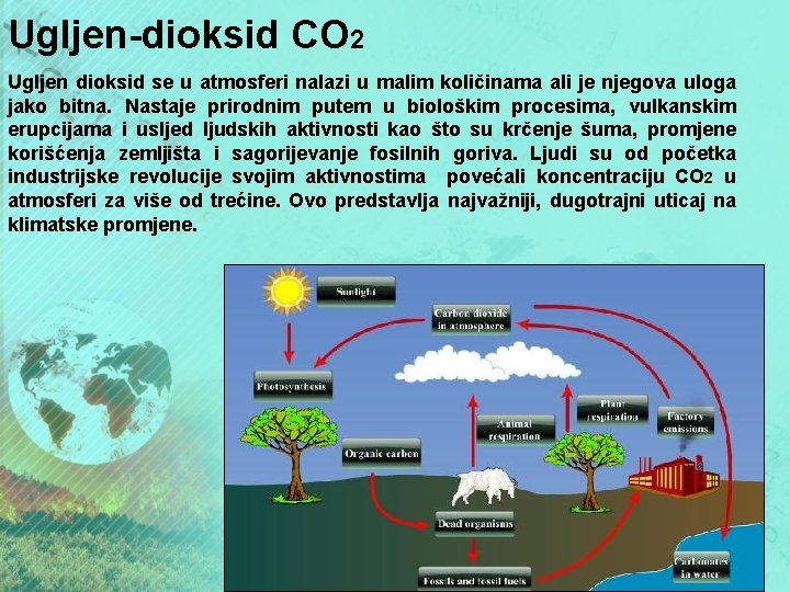 Ugljen-dioksid CO 2 Ugljen dioksid se u atmosferi nalazi u malim količinama ali je