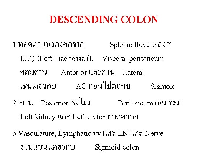 DESCENDING COLON 1. ทอดตวแนวตงตอจาก Splenic flexure ลงส LLQ )Left iliac fossa (ม Visceral peritoneum