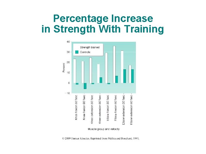 Percentage Increase in Strength With Training 