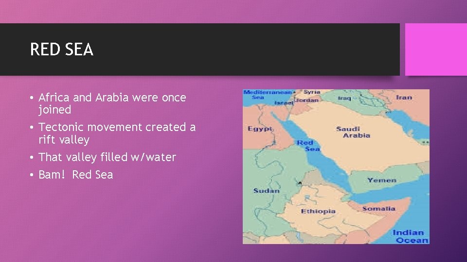 RED SEA • Africa and Arabia were once joined • Tectonic movement created a