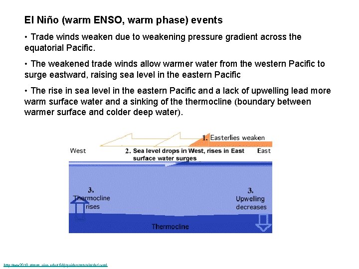 El Niño (warm ENSO, warm phase) events • Trade winds weaken due to weakening