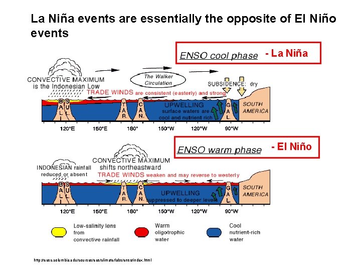 La Niña events are essentially the opposite of El Niño events - La Niña