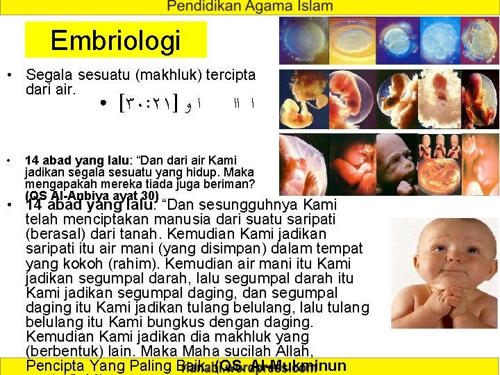 Embriologi • Segala sesuatu (makhluk) tercipta dari air. ● • [٣٠: ٢١] ﺍ ﻭ