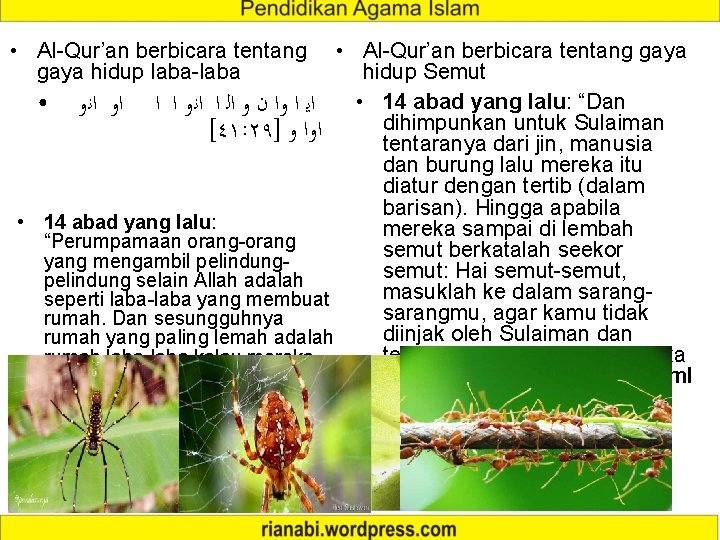  • Al-Qur’an berbicara tentang gaya hidup laba-laba • Al-Qur’an berbicara tentang gaya hidup