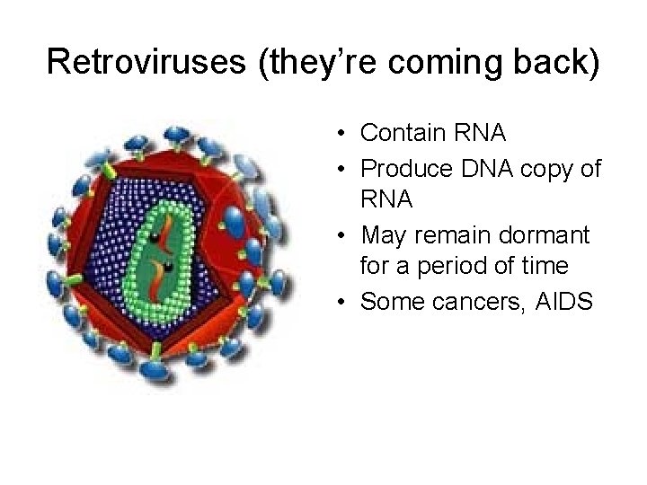 Retroviruses (they’re coming back) • Contain RNA • Produce DNA copy of RNA •