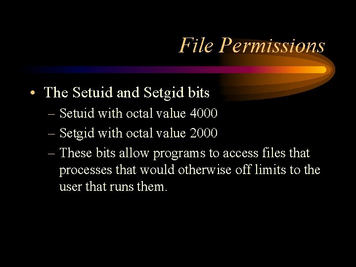 File Permissions • The Setuid and Setgid bits – Setuid with octal value 4000