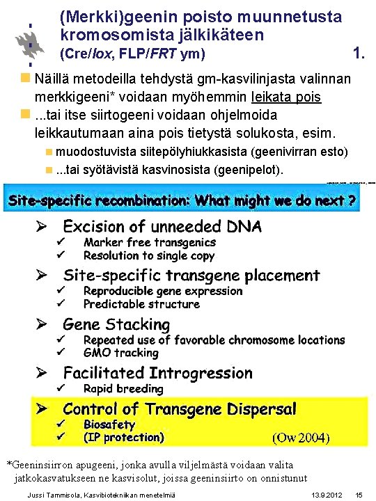 (Merkki)geenin poisto muunnetusta kromosomista jälkikäteen (Cre/Iox, FLP/FRT ym) 1. n Näillä metodeilla tehdystä gm-kasvilinjasta