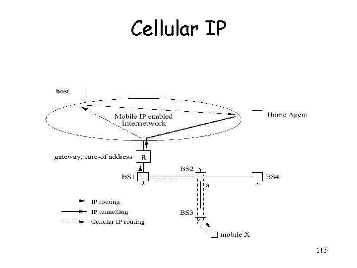 Cellular IP 113 