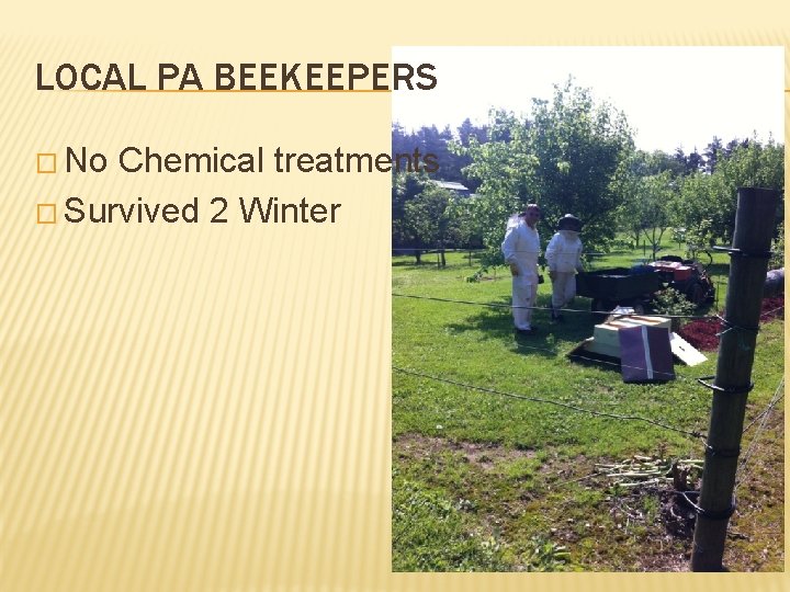 LOCAL PA BEEKEEPERS � No Chemical treatments � Survived 2 Winter 